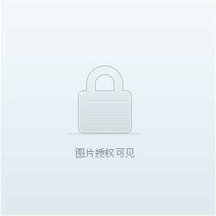 加工定制高而夫分划板图1